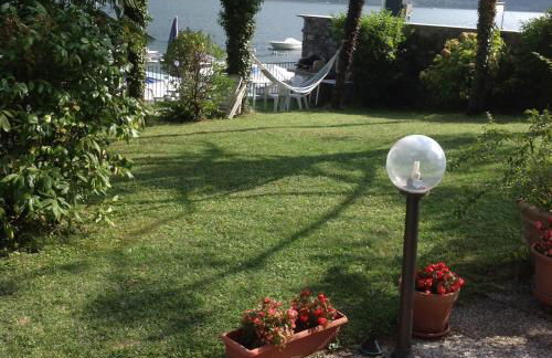 Le palme Antonella - Foto 9