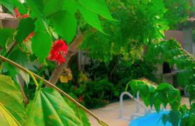 Casa em Mundaú Trairi-Ce - Foto 32