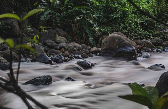 Kootney Resorts - Photo 72