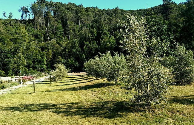 Mulino Della Rivolta - Foto 34