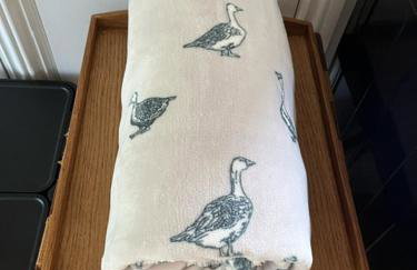 The Bird Loft Studio - Foto 18