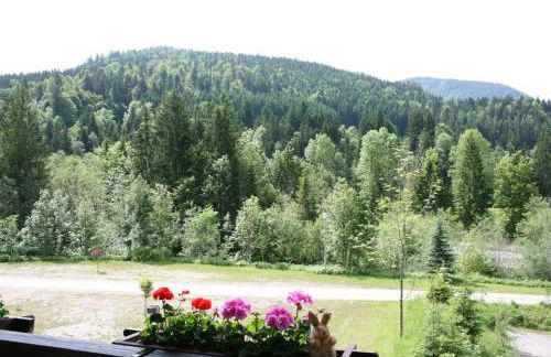 Alpenspatzl - Foto 12