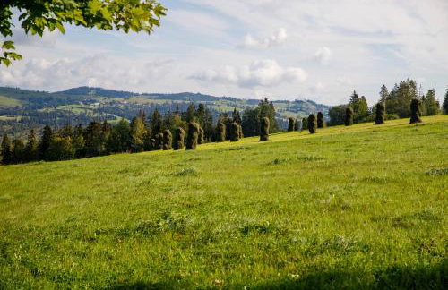 Gościniec u Marzeny - Foto 50