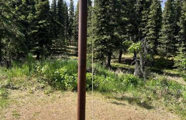 Denali Natl Park 3 Bedroom Home on 5 Acres, hiking and wildlife - Foto 20