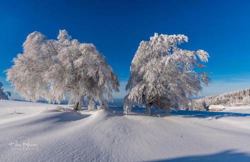 Haus Wiesenquelle - Fewo 14 "Timeout", Feldberg - Foto 25