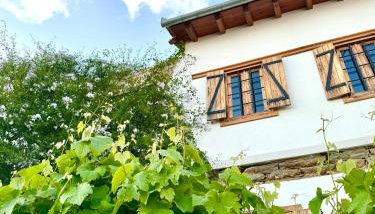 Vines & Views - Foto 3