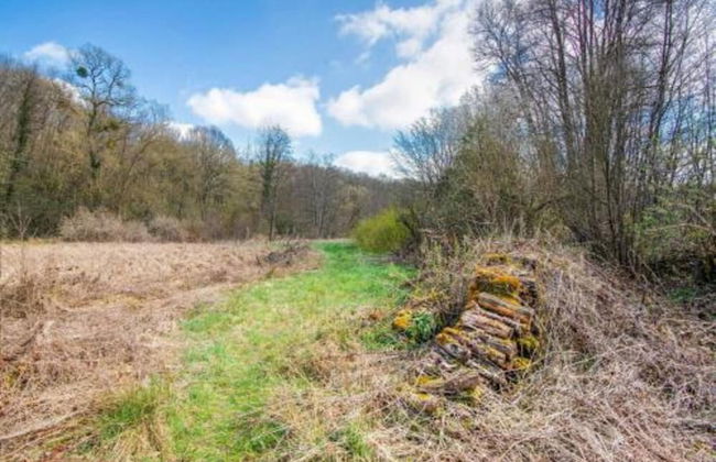 Nature Chalet in Somme-leuze - Foto 34