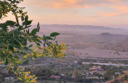 CasaNova en Terreros - Foto 45