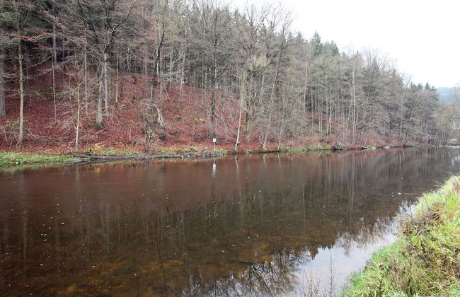 Moderne Villa in Borstendorf mit Park - Foto 27