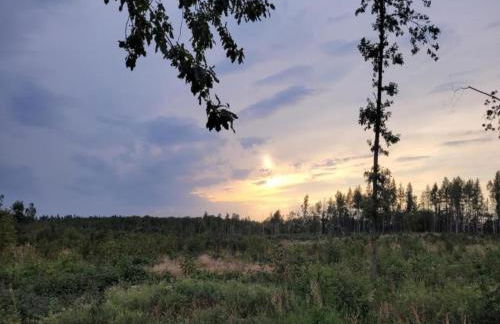 Nature Escape in Meisdorf - Foto 64