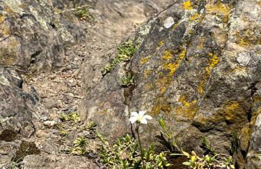 Ferienwohnung Richard - Foto 31