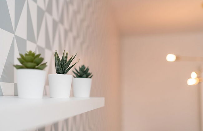 iloftmalaga Fernando el Católico - Foto 32