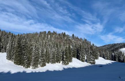 Casa Rigoni - Foto 36