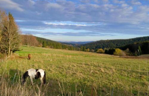Ferienhaus in Altenfeld Thuringen mit Garten - Foto 38
