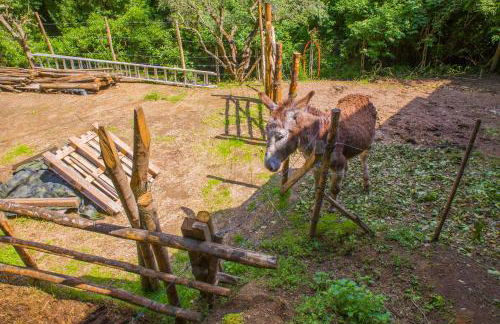 Poggio della Roverella Country House - Foto 50