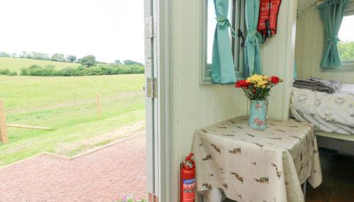 Cuckoo's Nest - Foto 3