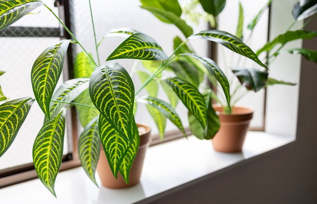 Comfy Stay Sakuramachi - Foto 29