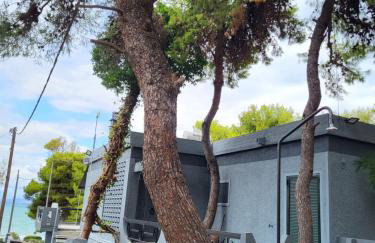 Dilion Guest House - Foto 38