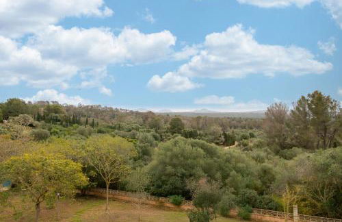 Casa Alegria - Photo 34