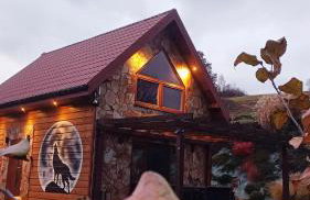 Kamienny Zakątek w Bieszczadach - Foto 25