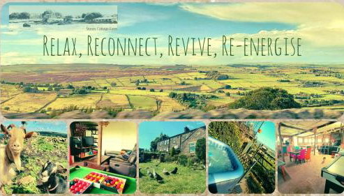 Stones Cottage Farm, nr Haworth, family friendly for infants teens ASD, gaming barn inc retro gaming, hot tub, animals, arts, crafts, free wifi, free parking, EV point - Foto 3