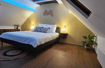 L'Hortillon - Photo 43