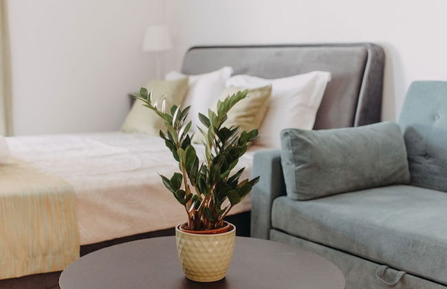 Best House- Nirvana II Patra - Foto 1