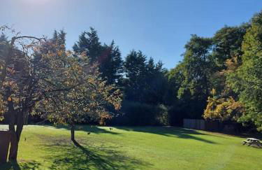 The Woodpeckers - Alresford Essex - Foto 31