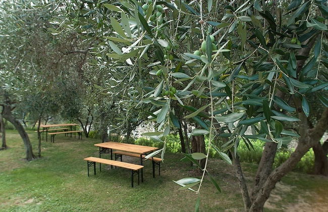 Agriturismo Buranco - Foto 26