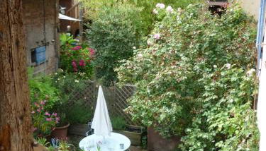 Les hirondelles - Foto 3