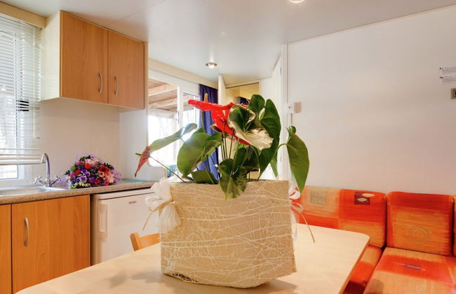 Nice Chalet in Pine Forest near Adriatic Sea - Foto 6