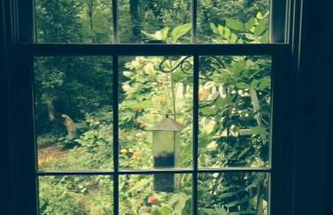 Private Cottage on Lookout Mountain - Foto 12