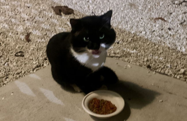 S3 BP Steps to Beach - Photo 36