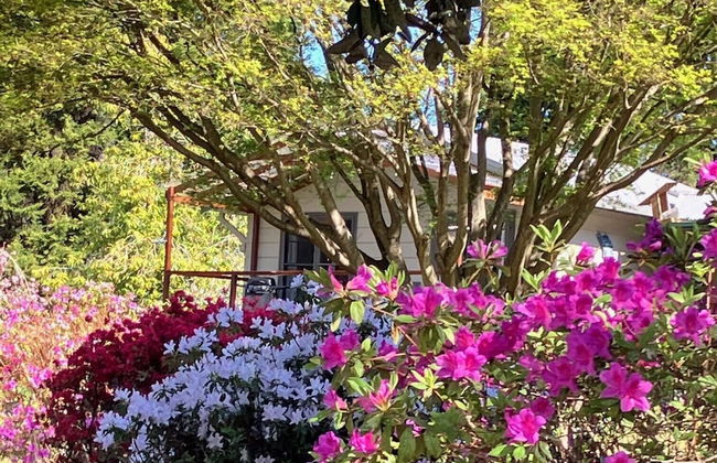 Wildside Sanctuary - Foto 45