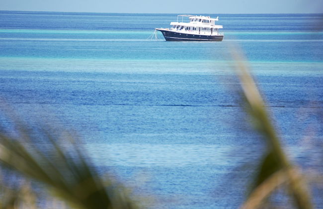 Room in B&B - Master Suite Family Room With Views of the Ocean - Foto 12