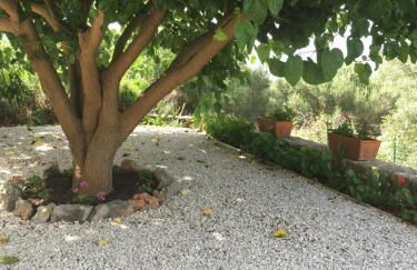 La Terrazza Del Duca - Foto 63