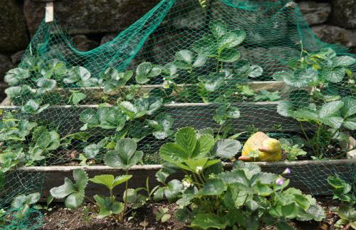 AlmadeMencía - Foto 32