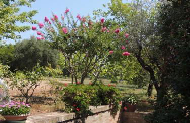 Casa Sabbatini - Foto 23