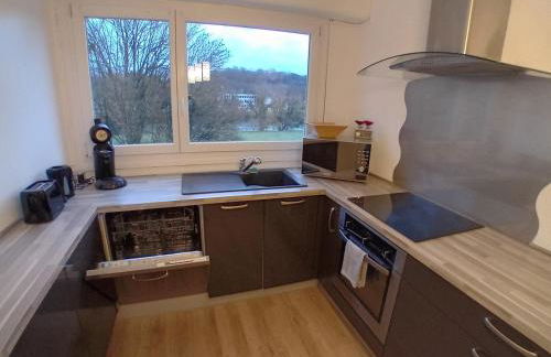 Vue du Doubs T4 cosy très bien situé - Foto 5