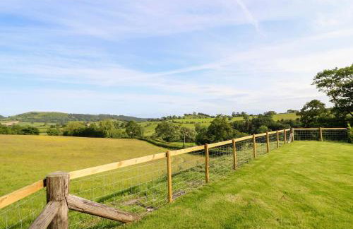 Defaid Cymreig - Foto 27