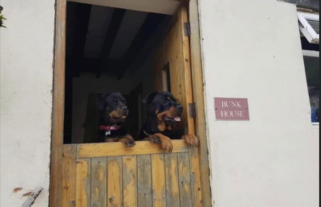 Cottage on Exmoor - Sleeps 8 & Parking - Foto 11