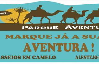 Casa da Matriz - Foto 102