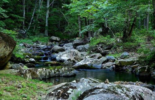 Zen River Retreat - Foto 26