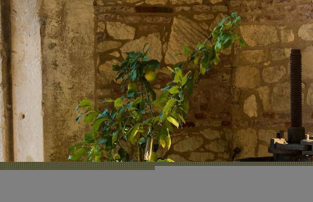 Vigneti Apartment With two Bedrooms and one Bathroom on the Second Floor Apartment 5 - Foto 31