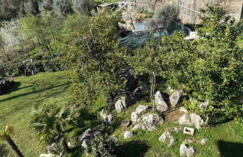 Apartments Penko Lovran - Photo 30