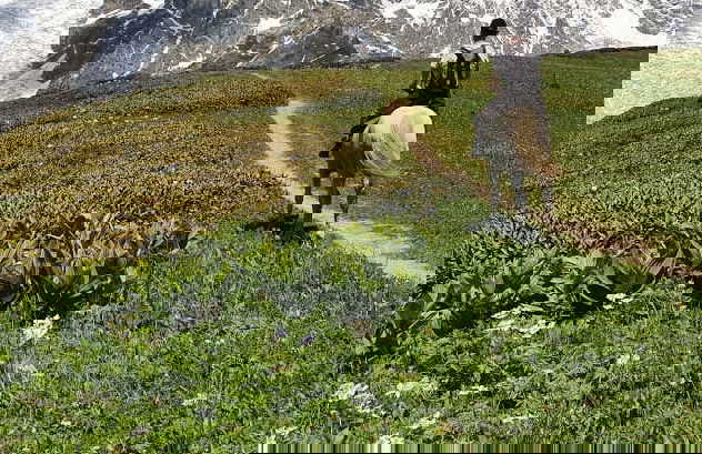 Picos de Europa Horseback Ride - Photo 2