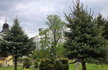 SielskoAnielsko k. Karpacza - Foto 39