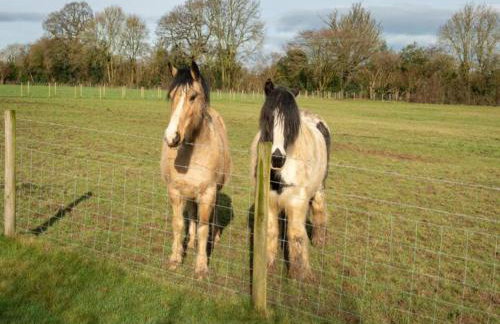 Tranquil Chilterns Farm Hideaway - Pass the Keys - Foto 19