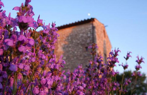 Villa Montecastello - Foto 34