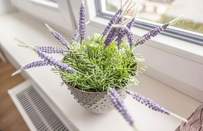 Arbio I Dehnhaide Apartments - Foto 40